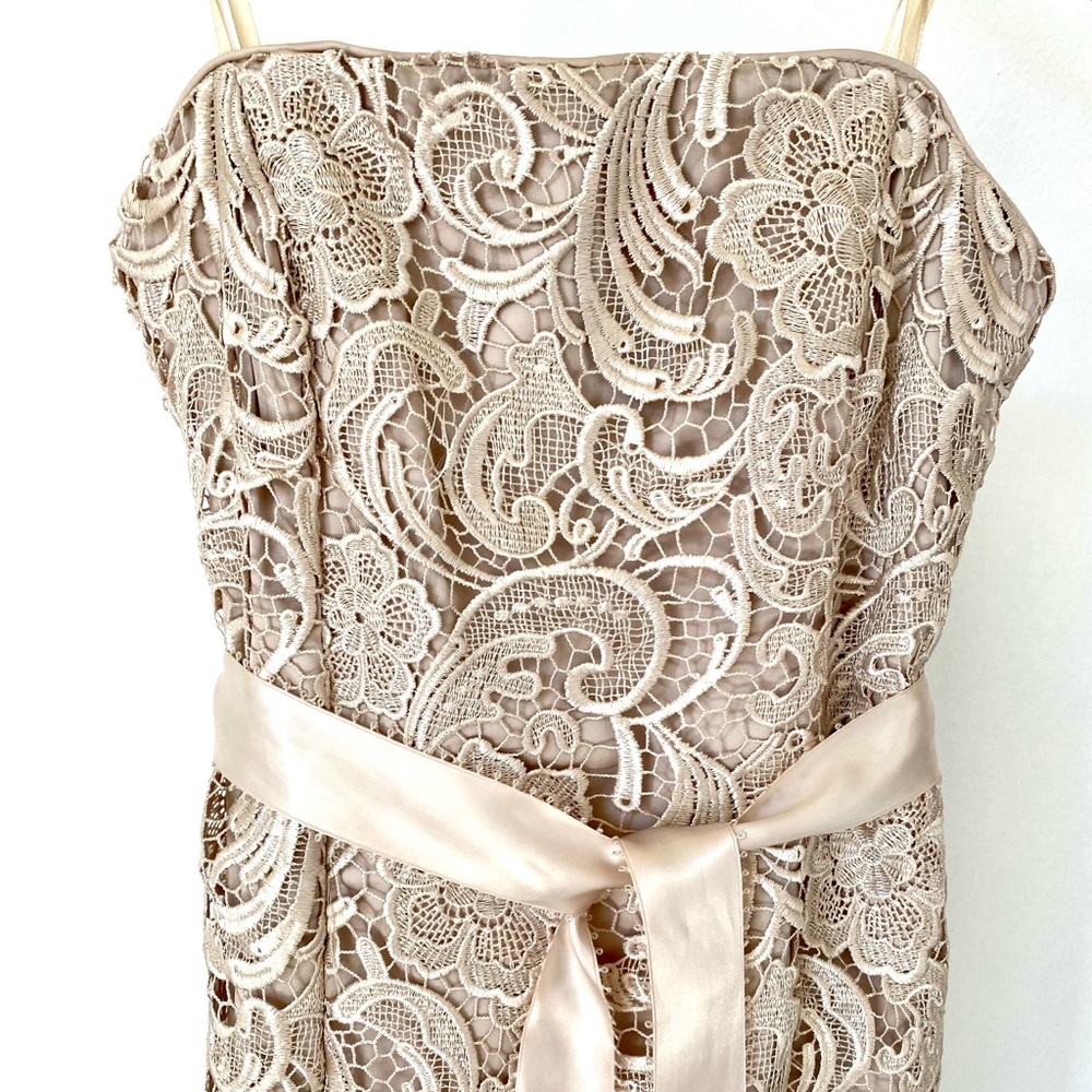 Beautiful Cache Lace Dress - Picture 2 of 5
